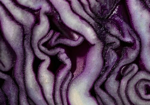 Abstract violet waves representing deep breathing atmosphere